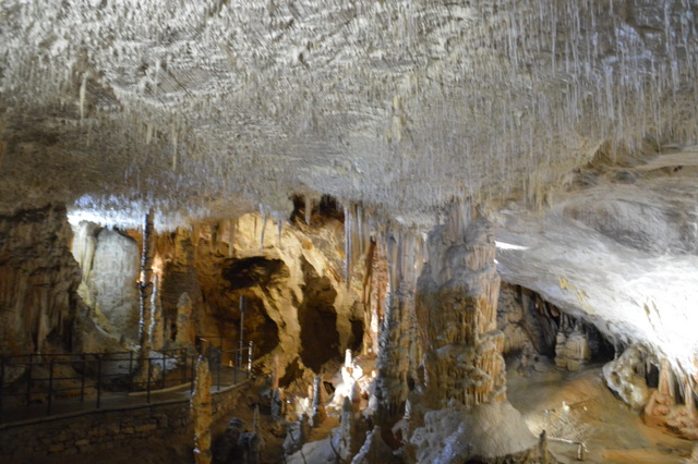 天井から細い管状にぶら下がる白い鍾乳石。その様子から「スパゲッティー」と呼ばれています