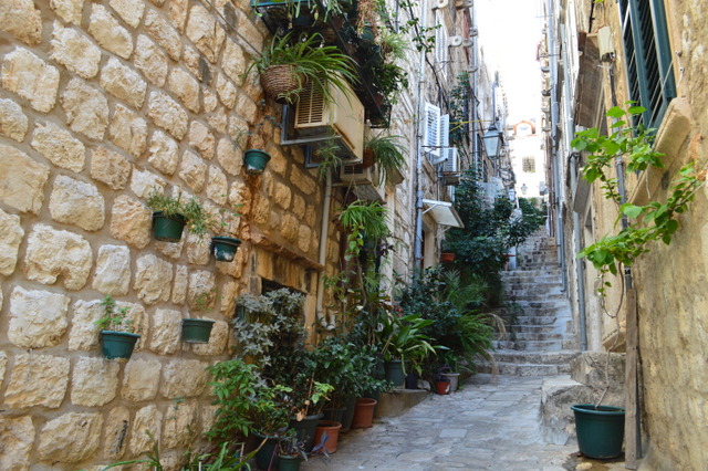 dubrovnik-cat-street (1)